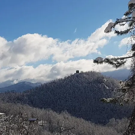 فندق مبيت وإفطار Avventura Zerba