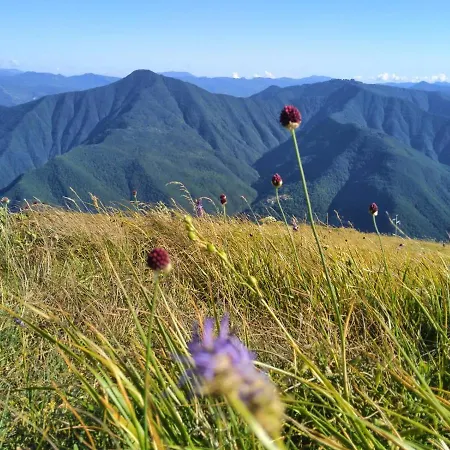 ベッド・アンド・ブレックファスト Avventura