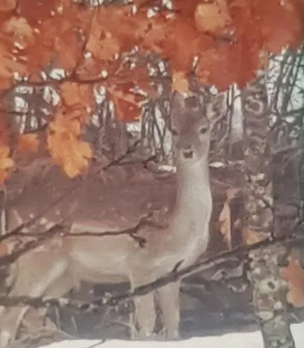 Couette-café Avventura Zerba