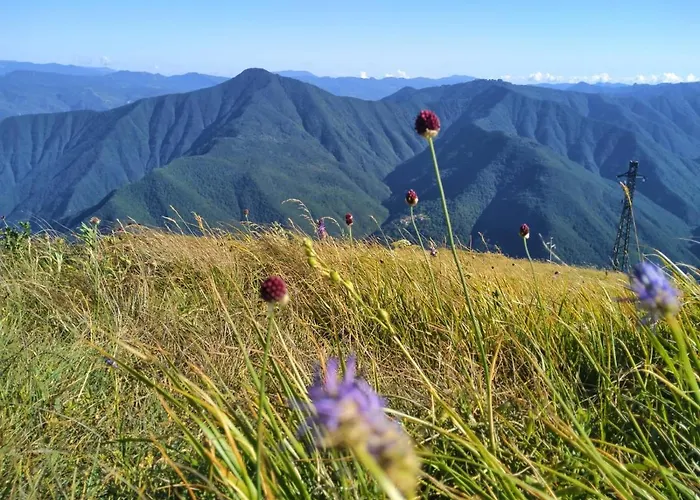 Bed & Breakfast Avventura