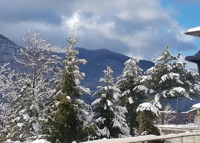 Bed & Breakfast Avventura